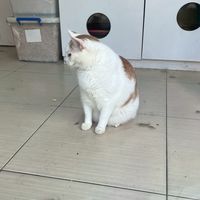 警特4讀書群