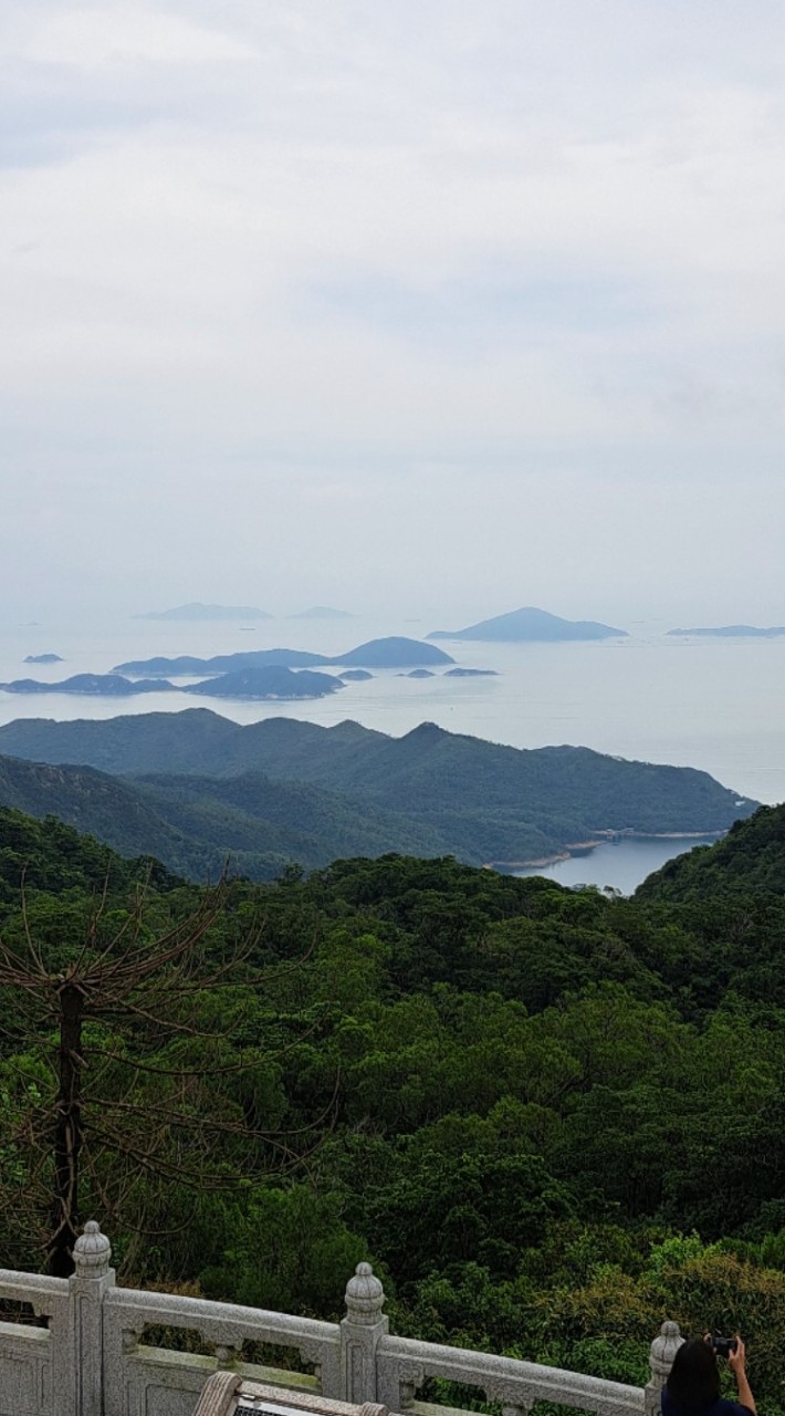 美廉社龜山文德分享群