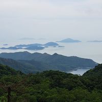 美廉社龜山文德分享群
