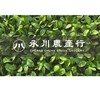 承川農產行|蔬菜.水果|零售.批發.團購|