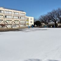 十小学校支援本部「バディ」情報公開チャット