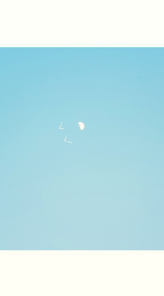 Photo&Music of​ the​ day