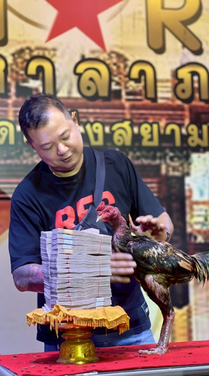 นินลนีย์ฟาร์ม
