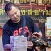 นินลนีย์ฟาร์ม