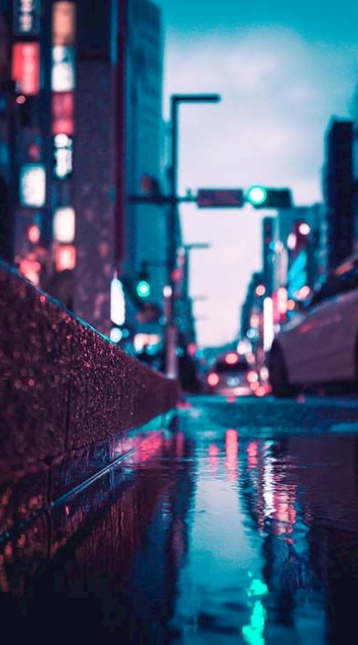 全日本かぼちゃ愛好会🎃