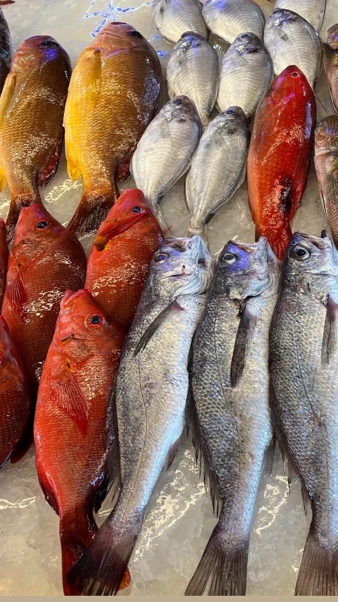 前鎮🎣杰-鮮魚水產（東山河）