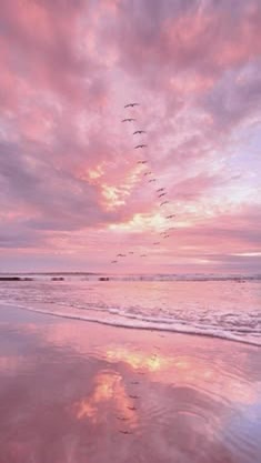 シール好きな人集まれぇ~