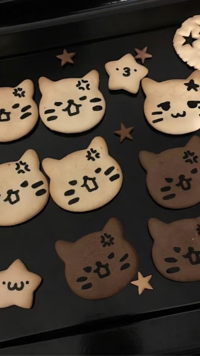 聊天/認識/找人/找戀人❓/找同擔/夜貓子