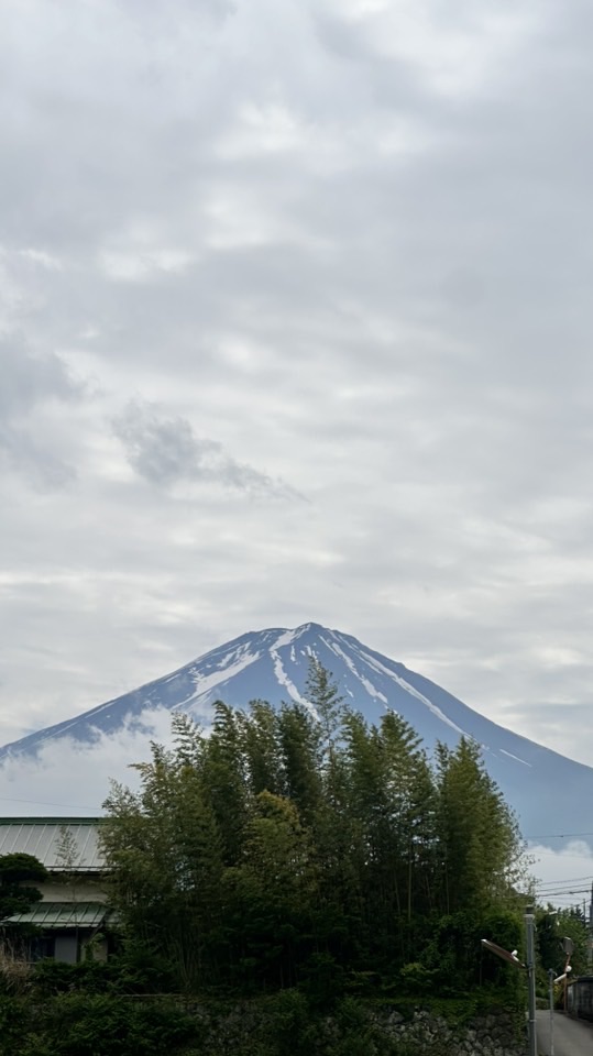 百年新市集🧧吉🧧龍井客群