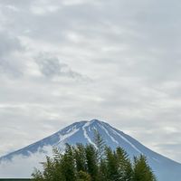 百年新市集🧧吉🧧龍井客群
