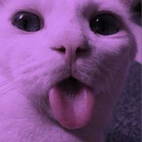 快樂小隊٩(˃̶͈̀௰˂̶͈́)و