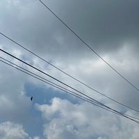 關懷據點群組