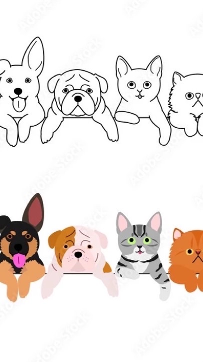 寵物大小事🐶🐈