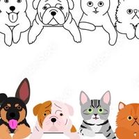 寵物大小事🐶🐈