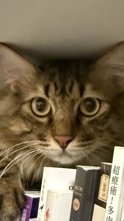 AION2 暖心貓窩の軍團頻道