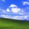 ▶ 仲間はきっと増えてる！