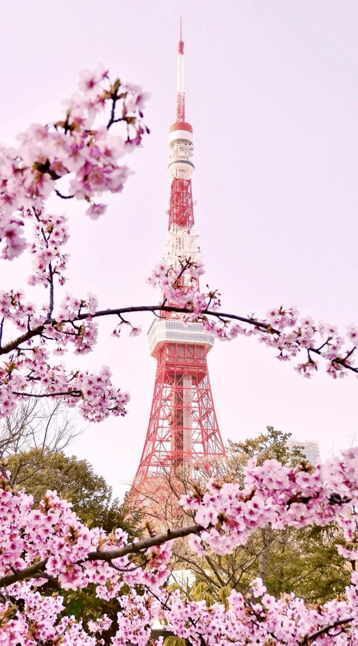 🇯🇵5/19~5/22 日本快閃代購！