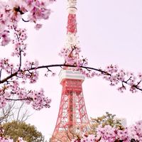 🇯🇵7/22~7/26 日本快閃代購！