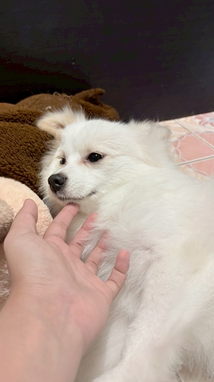 ปล่อยเซลล์ร้านหมิว