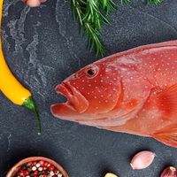 澎湖｜洄家吃魚-秘密特惠群