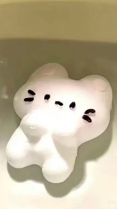 閒聊小社群🎼
