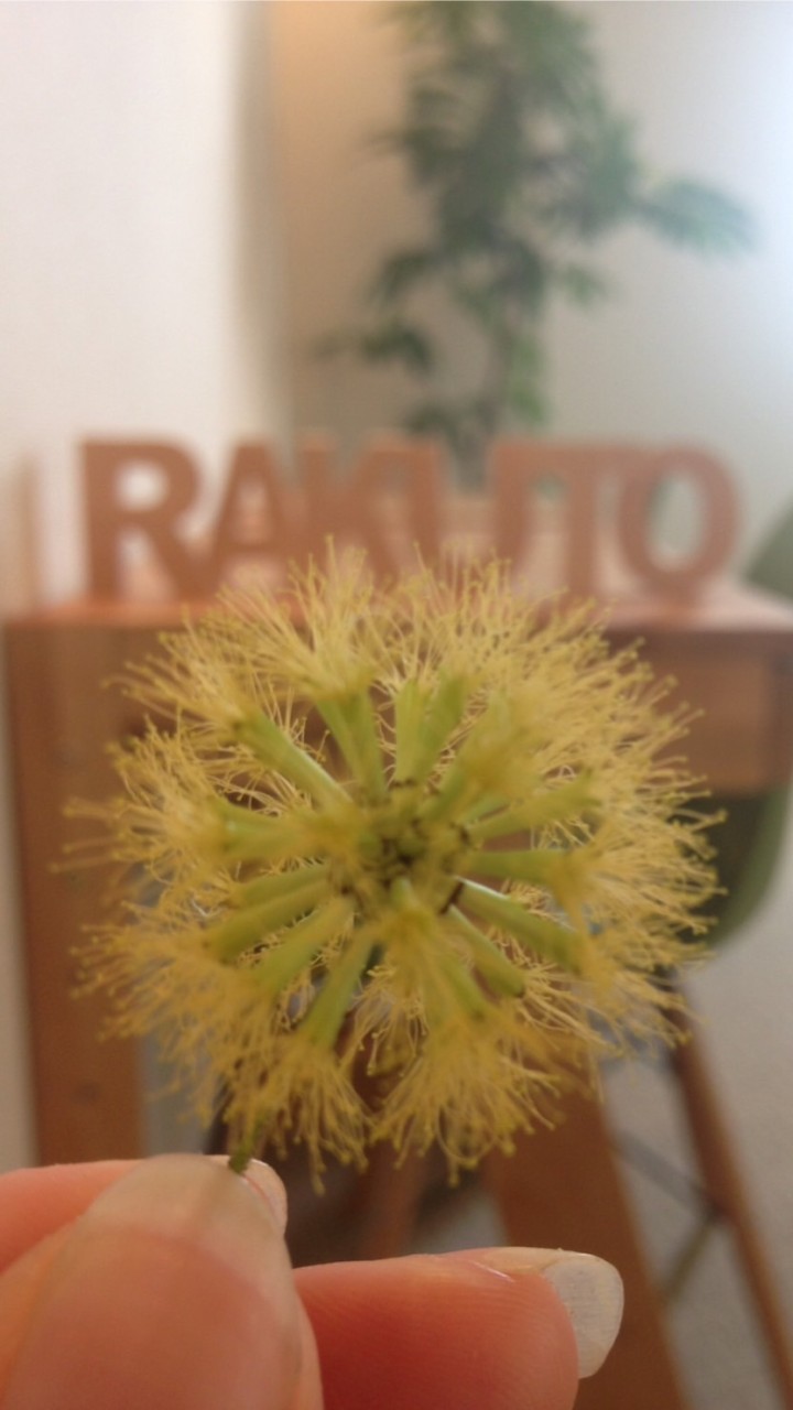 RAKUTO箕面校OB･OGグループ☺︎