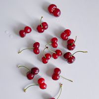 🍒蒐蒐SoSo小舖🍒