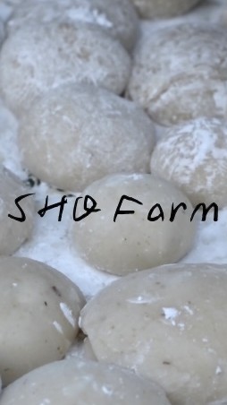SHO Farm みんなの田んぼ＆もちつき