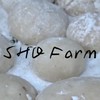 SHO Farm みんなの田んぼ＆もちつき