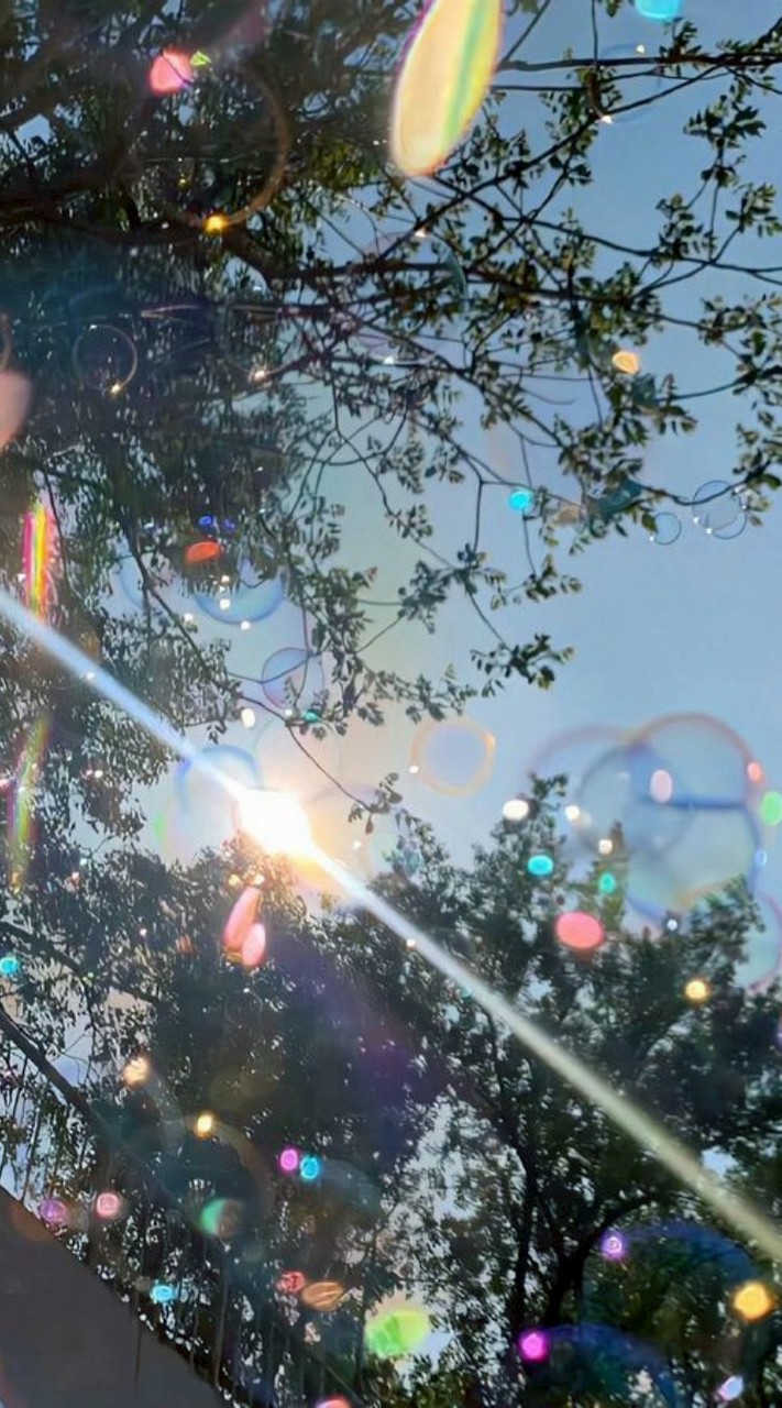 𝙗𝙡𝙤𝙤𝙢𝙡𝙤𝙜