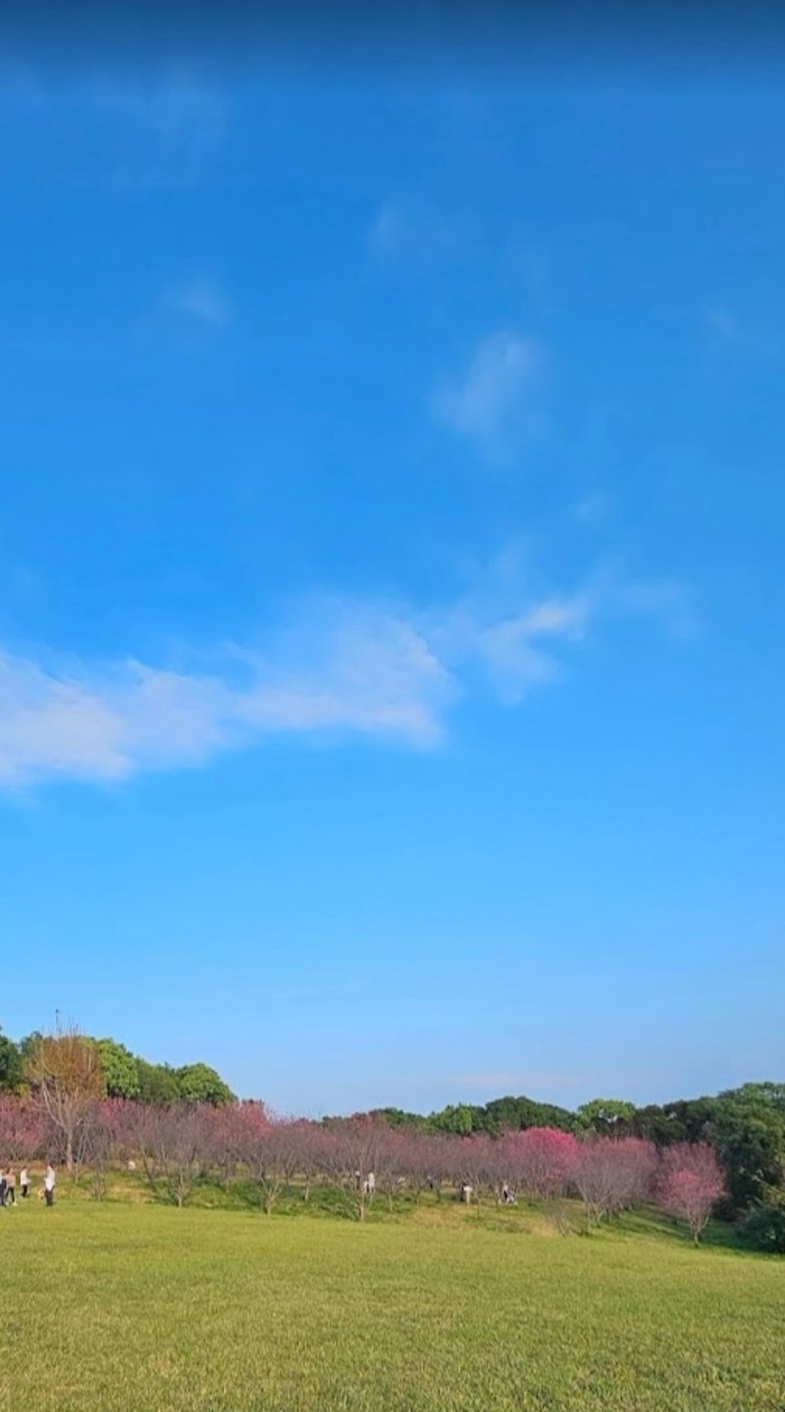 全台即時補助優惠訊息