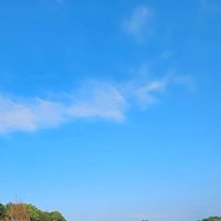 全台即時補助優惠訊息