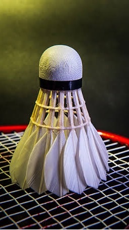 Badminton for fun