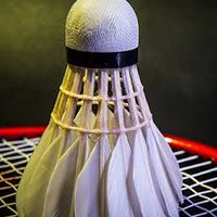 Badminton for fun