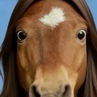 處cp/搞笑/講幹話/馬馬聊天群🐎/發一些沒意義但很搞笑的東西