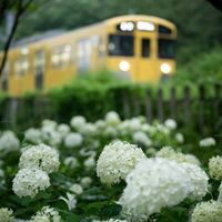 200人限定！【TimeTreeあり】鉄道雑談&スジ公開