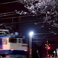 200人限定！【TimeTreeあり】鉄道雑談&スジ公開