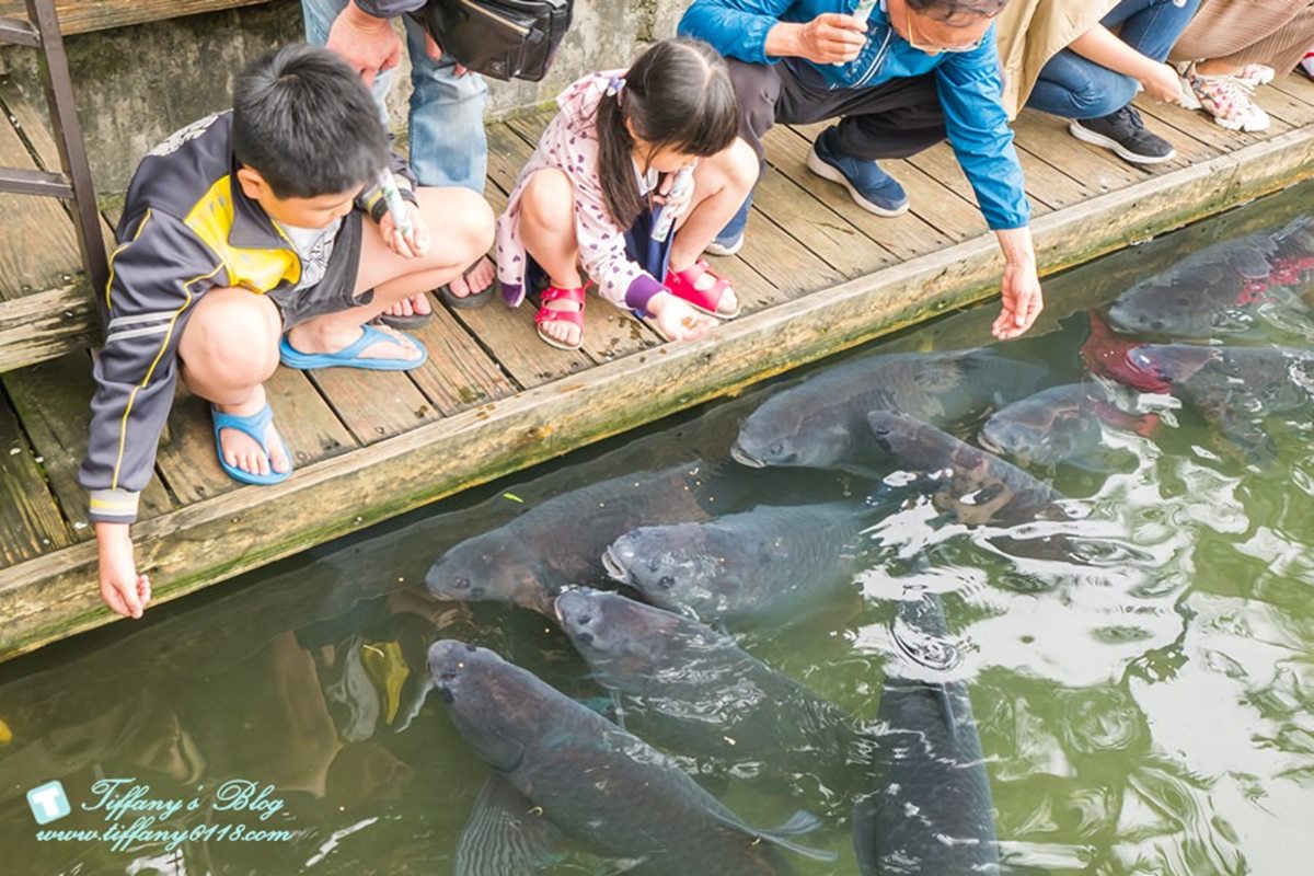 朝聖星巴克首家「童話歐風莊園」！花蓮壽豐１日遊５亮點，再住世界百大飯店