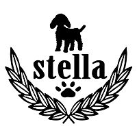 【板橋本店】stella-ステラ-