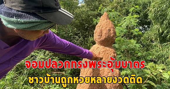 อัศจรรย์ธรรมชาติ จอมปลวกทรงพระอุ้มบาตร ชาวบ้านได้เลขจะจะ ถูกหวยหลายงวดติด |  สยามนิวส์ | Line Today