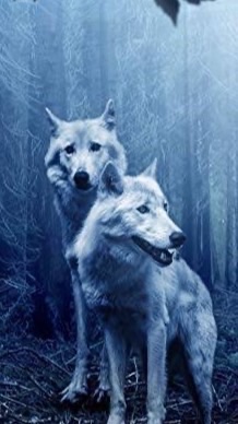 ディアス帝王直々撲滅　犬神帝国植民地