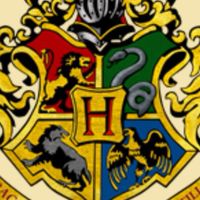 Harry shop