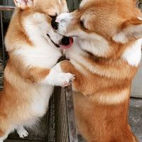 🦄ไปไหนก็ได้สบายใจจัง🦄