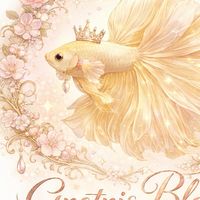 ⋆౨ৎ˚⟡˖ ࣪ Gnotnis Bloom Betta ⟡˖ ࣪˚౨ৎ⋆