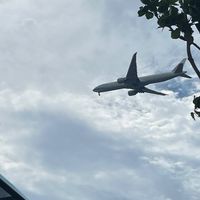 素素壹