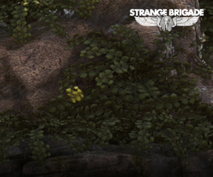 開啟Radeon Image Sharpening之後畫面變的十分銳利，細節也更加清晰。