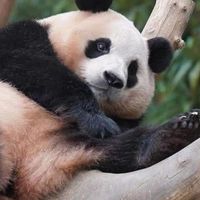 《喬豐英文雜誌》陽明喬豐上課、週六1:30-3:00