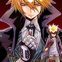 家庭教師HITMAN REBORN