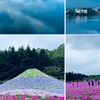 日台解封品味踏青健行.自助自駕遊