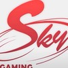 Sky Gaming賴社群